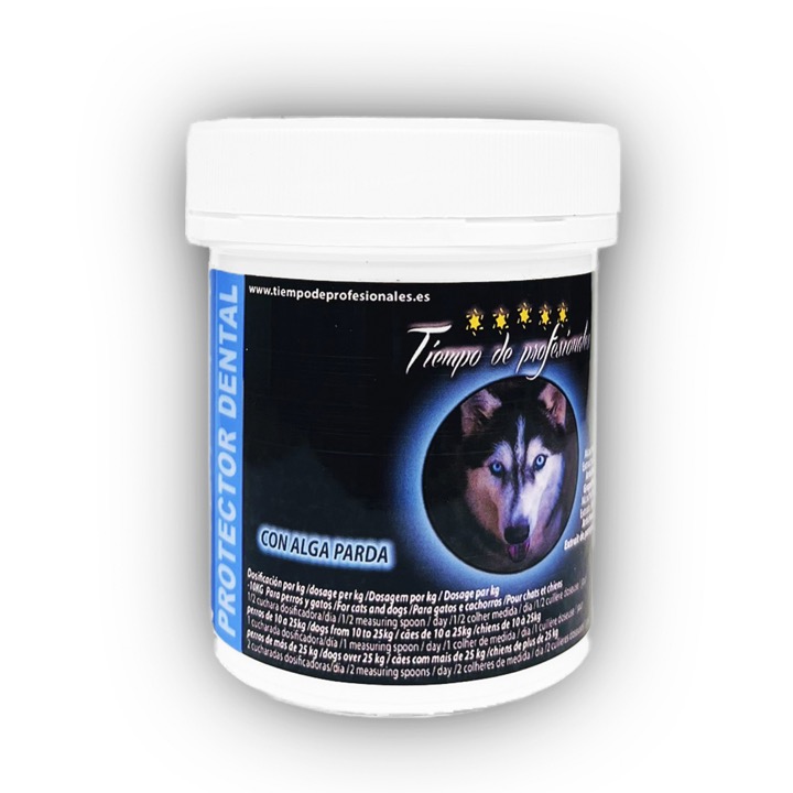 Protector Dental